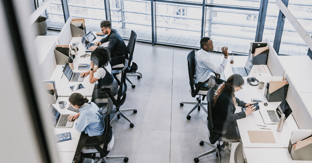 Business team working in office on laptops