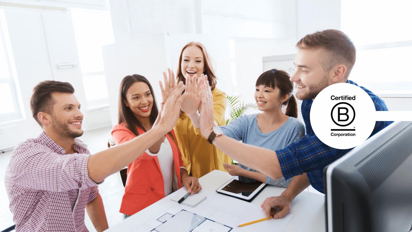 Team high fiving in office about B Corp certification